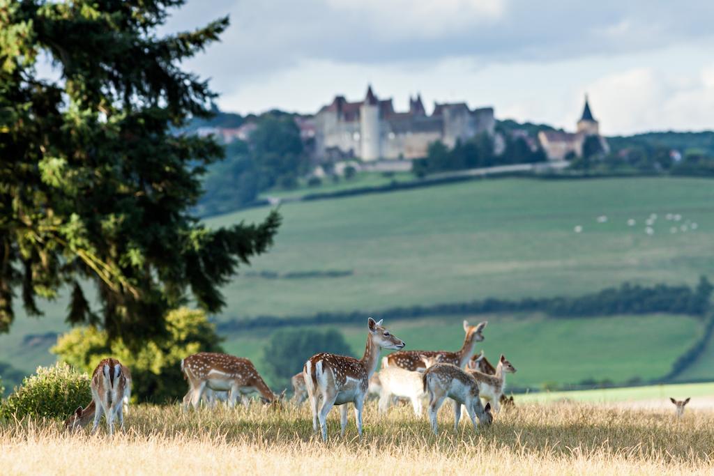 Château Sainte-Sabine Exterior foto